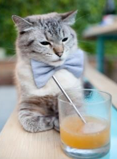 开云官网-可再生材料：赛车轻量化新趋势，可再生汽车燃料