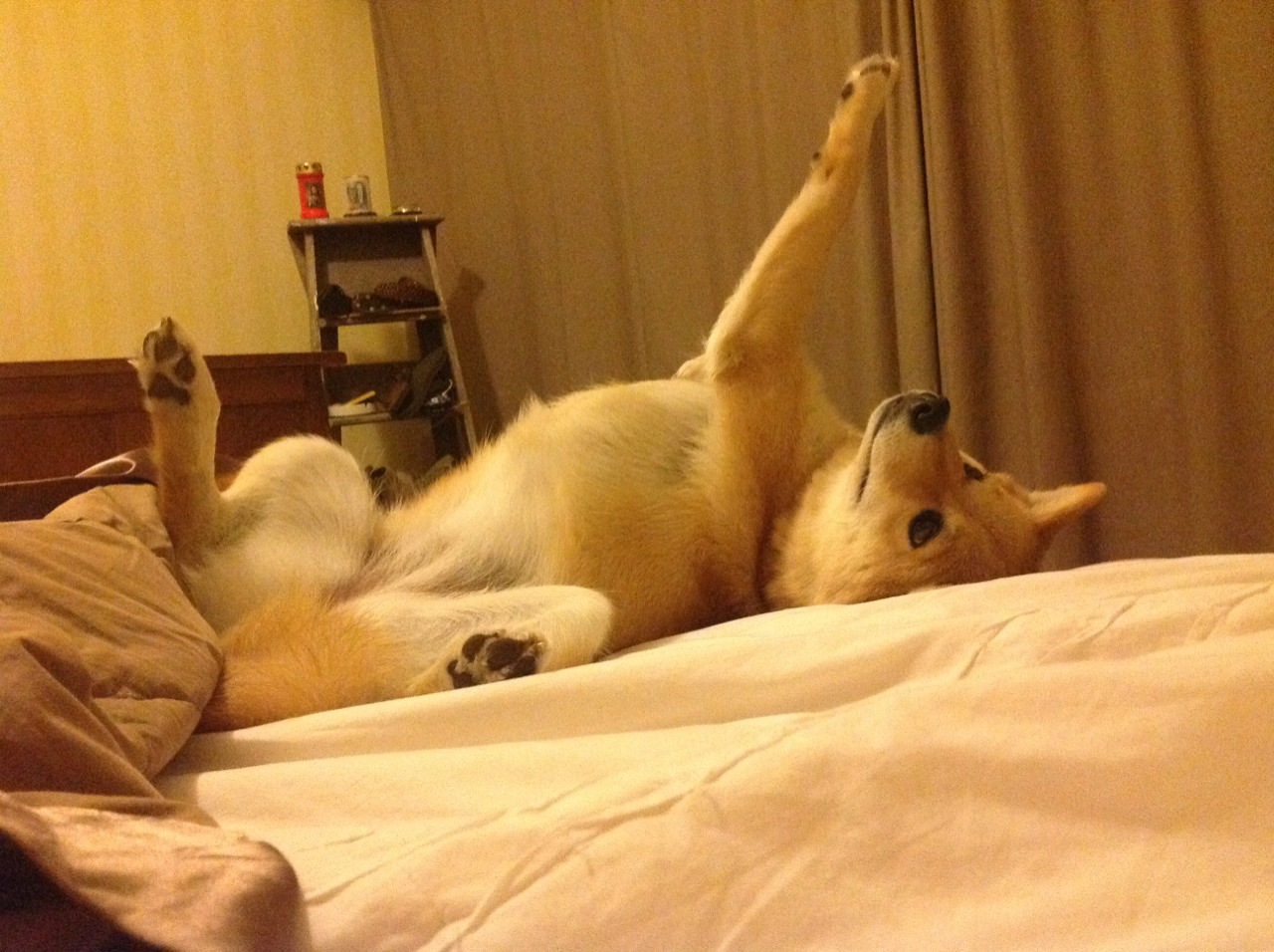 女足国青队获国际邀请赛亚军,进攻效率备受肯定,中国女足国青队