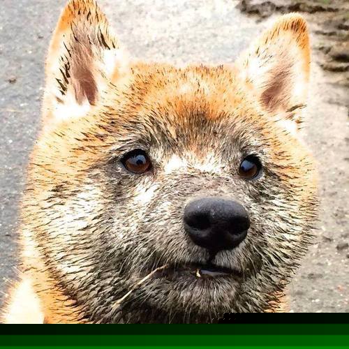 西甲战术深度升级,精彩表现让比赛精彩纷呈,西甲榜首大战