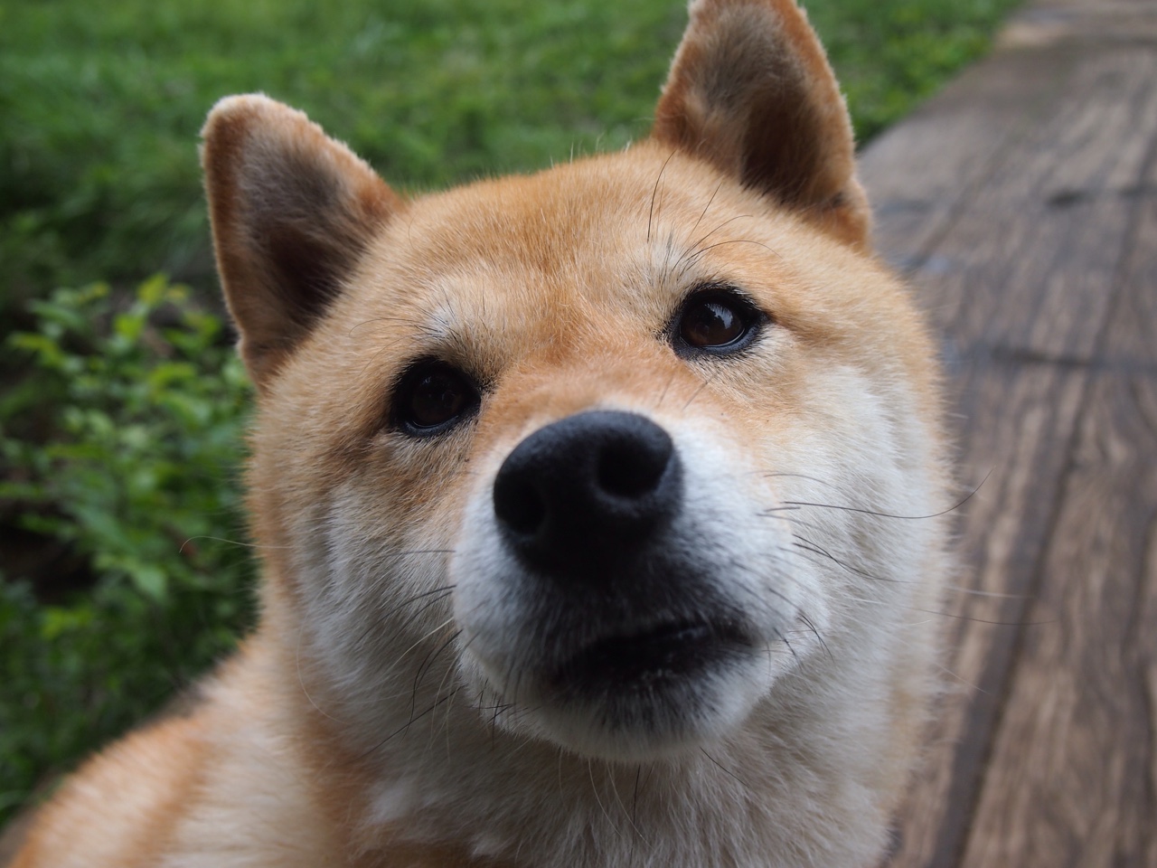 虚拟现实技术革新:电竞沉浸式体验迎来爆发式增长,虚拟现实竞技中心