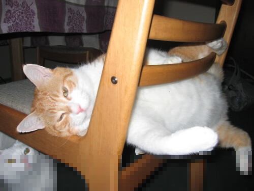 亚洲优秀球员备战重要赛事,亚洲优秀球员备战重要赛事是什么