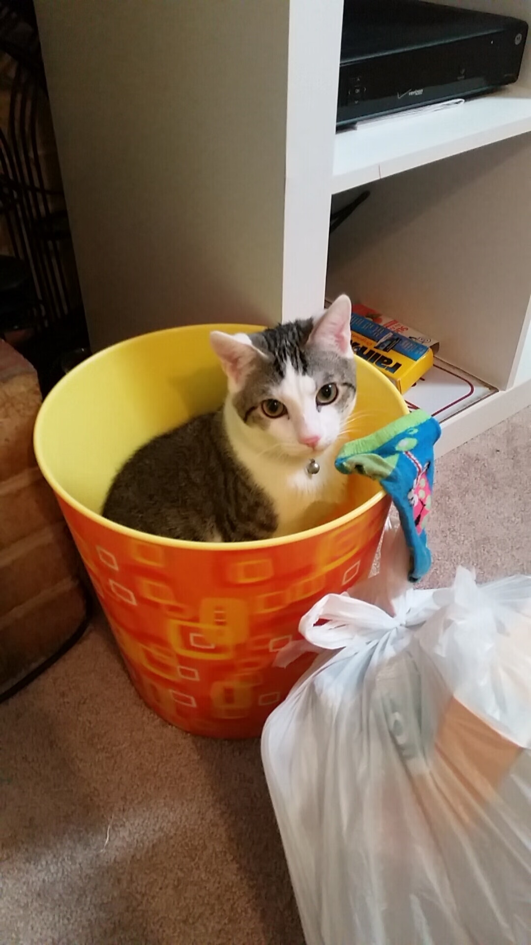 Kaiyun(中国)开云-精湛足球比赛中球员射门精准无误，在足球比赛中射门的基本要求