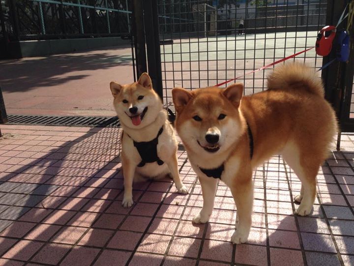 kaiyun体育综合-纪律严明，球队提前计划取胜策略，足球比赛提前完场怎么算