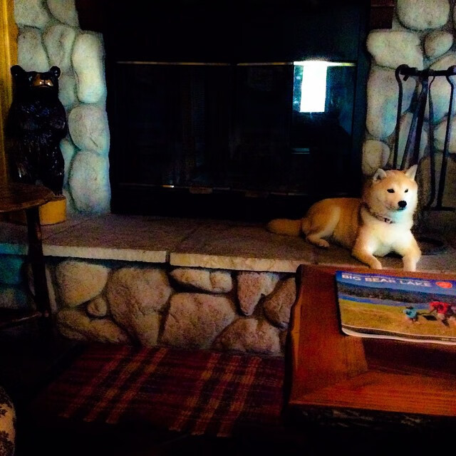 逆转网球女单黑马连克种子选手,网球最大逆转