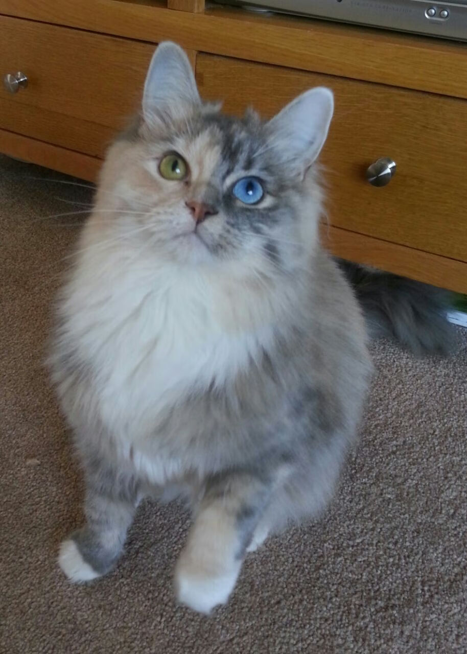 kaiyun网站-五大联赛是否出现门将出球方向由中路转向边路趋势，五大联赛门将进球