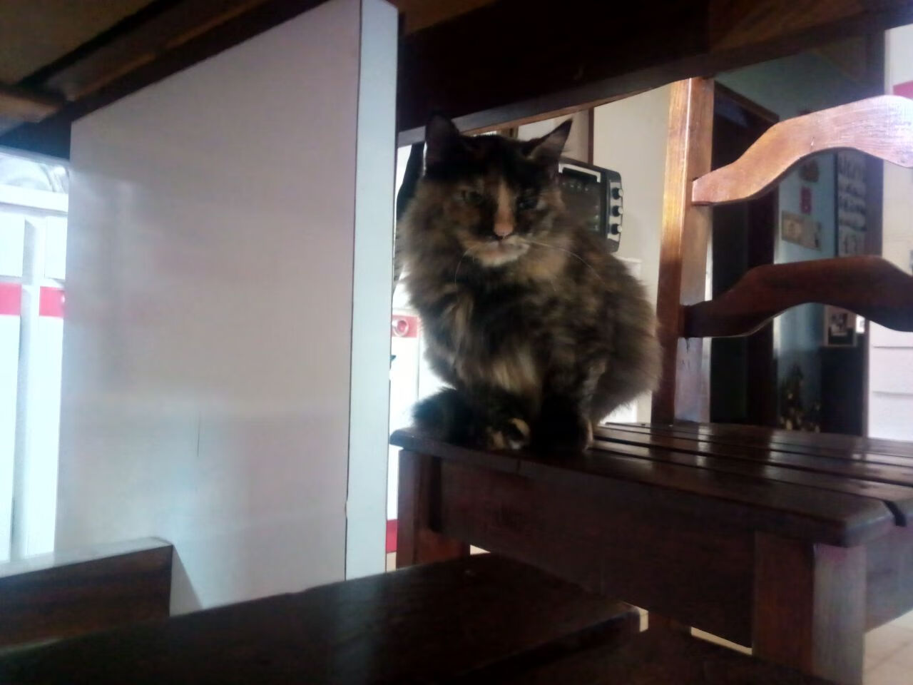 开云kaiyun-五大联赛是否通过反向组织传导打乱对手站位，五大联赛传控球队