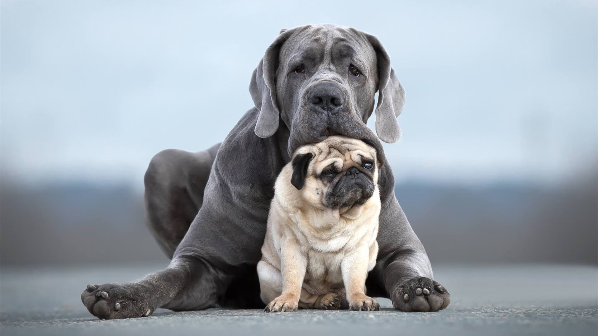 体育新闻中心推动体育产业链数字化融合项目,数字体育产业发展