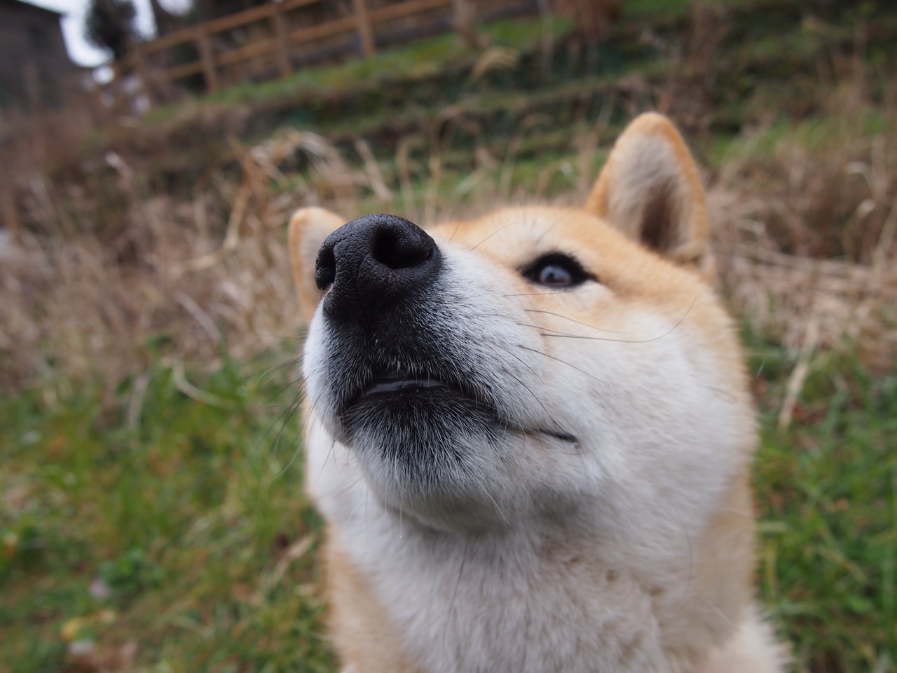 俱乐部未建立球员退出职业通道机制,俱乐部球员跳槽