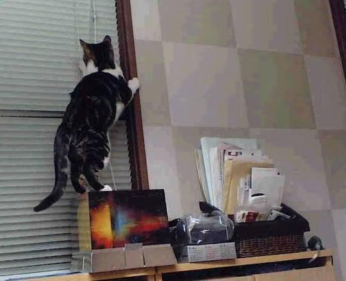 开云网页版-世界杯赛前热身赛战术重点分析，世界杯篮球热身赛