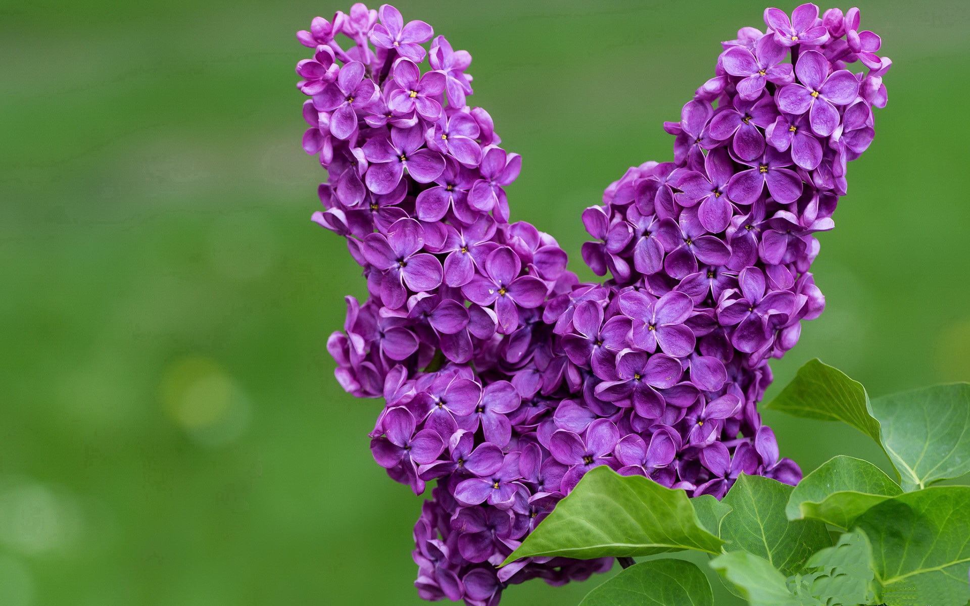 kaiyun.com-女子篮球青训经费增长，地方联赛扩容提速，女子篮球训练营