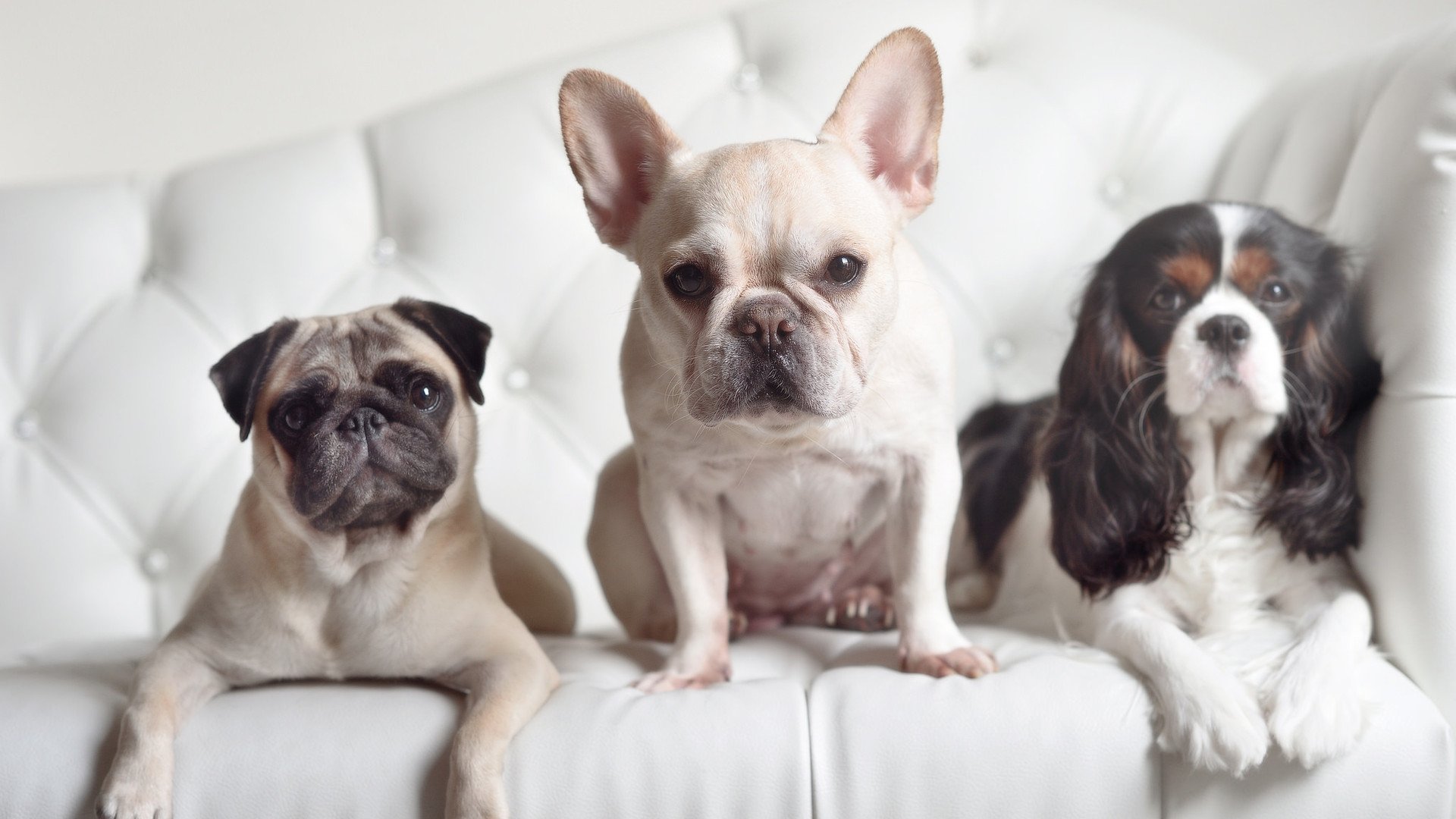 开云官方网站-字母哥斩获高分雄鹿教练战术奏效，字母哥和雄鹿签约了吗