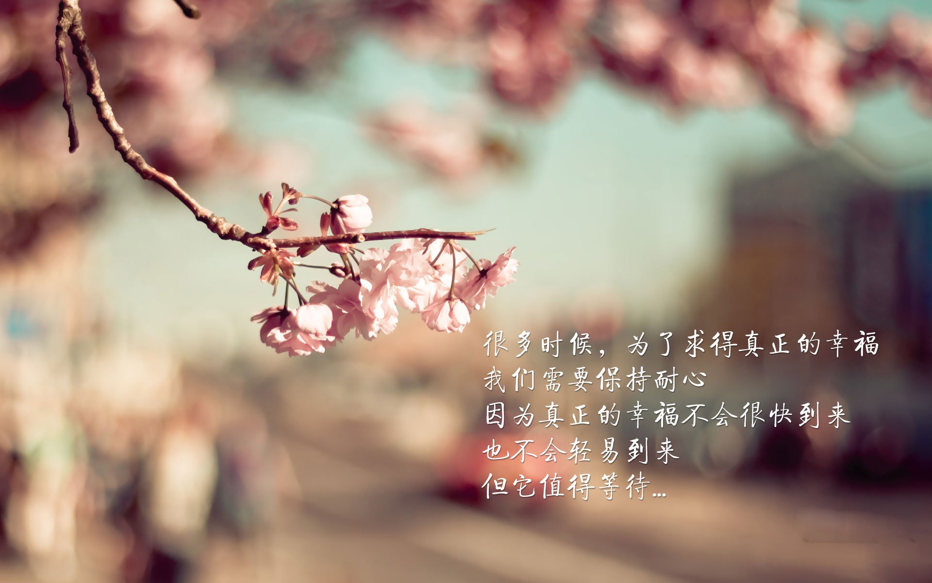 开云官方网站-篮球教练认证课程开设线上版扩大培训覆盖范围，篮球教练证报名入口