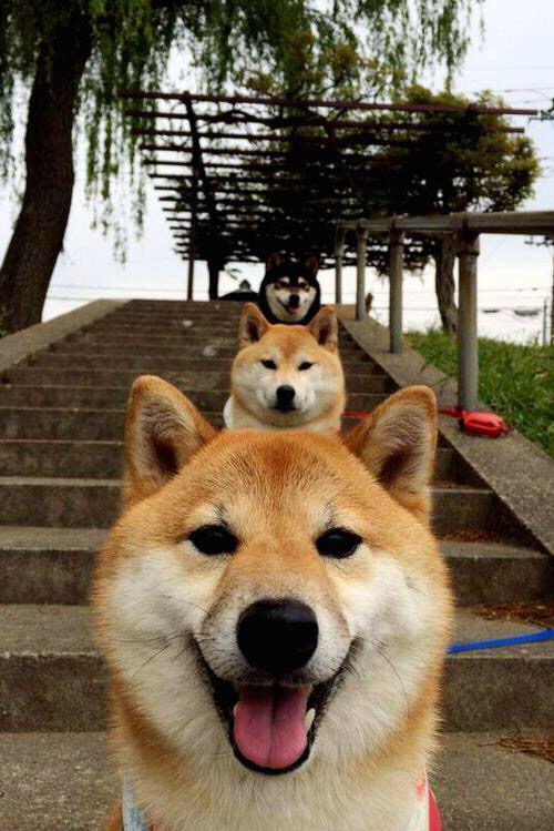 老将重回首发名单凭借经验引导年轻球员稳定比赛节奏，老将nba